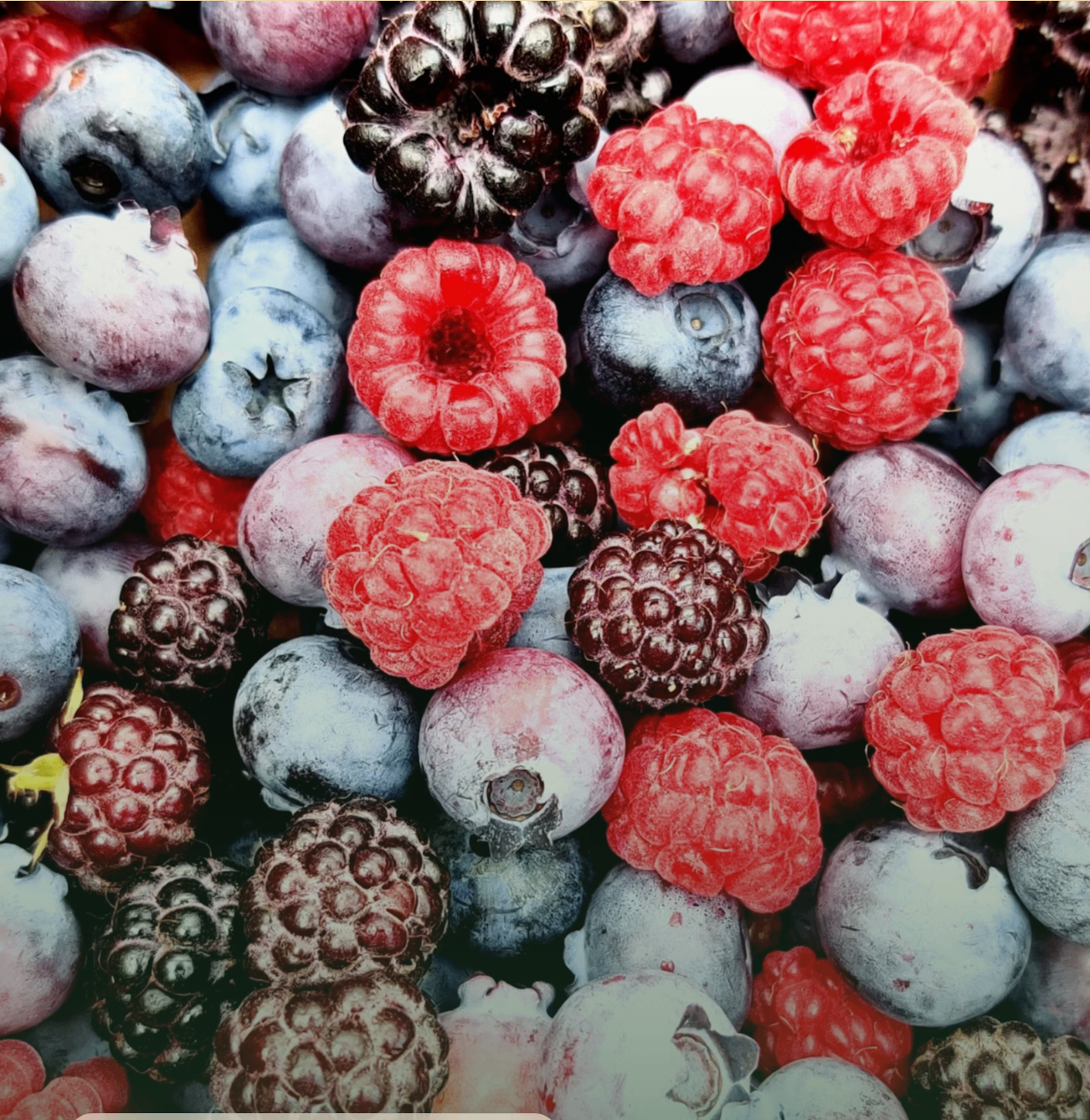 Fresh raspberries, blackberries and blueberries in a vibrant macro shot